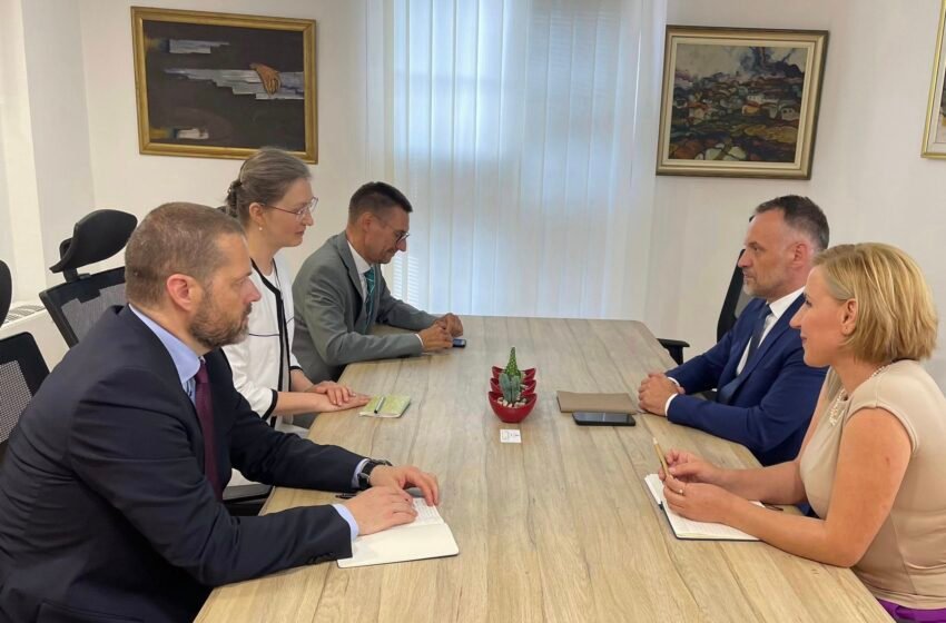  Fetai informon përfaqësuesen e BE-së për Ligjin për Përfaqësim të Drejtë dhe Adekuat