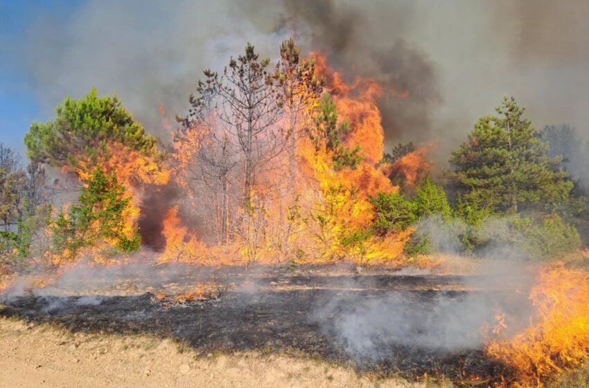  Avionë dhe ekipe zjarrikëse greke po shuajnë zjarret në Dojran