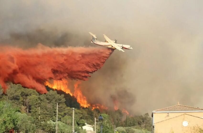  Nëntë viktima në Evropë nga i nxehti dhe zjarret
