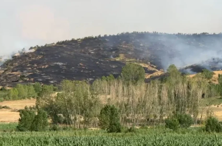 Zjarr në Pogradec, flakët po përhapen me shpejtësi të favorizuara nga era