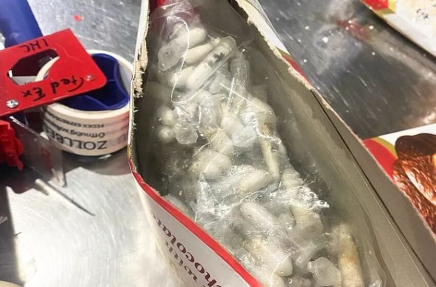  Dogana e Gjermanisë zbuloi 1,500 merimanga të fshehura në kuti ëmbëlsirash në aeroport