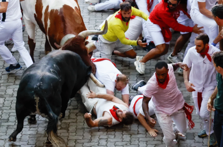  Demat e tërbuar në Spanjë bën për spital 7 persona, krijohet stampedo e madhe
