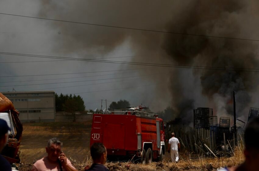  Presidentja merr vendimin, ushtria të kyçet në shuarjen e zjarreve