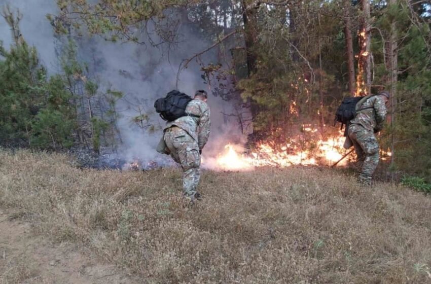  QMK: 33 zjarre në zona të hapura/ 2 janë aktiv, 3 nën kontroll dhe 28 janë shuar