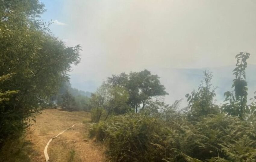  61 vatra zjarri brenda 12 orëve në Kosovë, nëntë prej tyre ende aktive