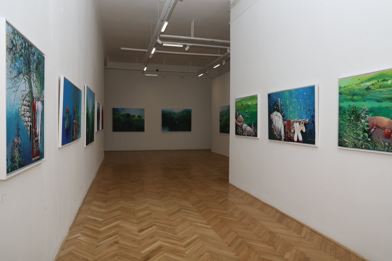 Во Сараево отворена изложба на академик Фехим Хусковиќ по повод 40 години творештво