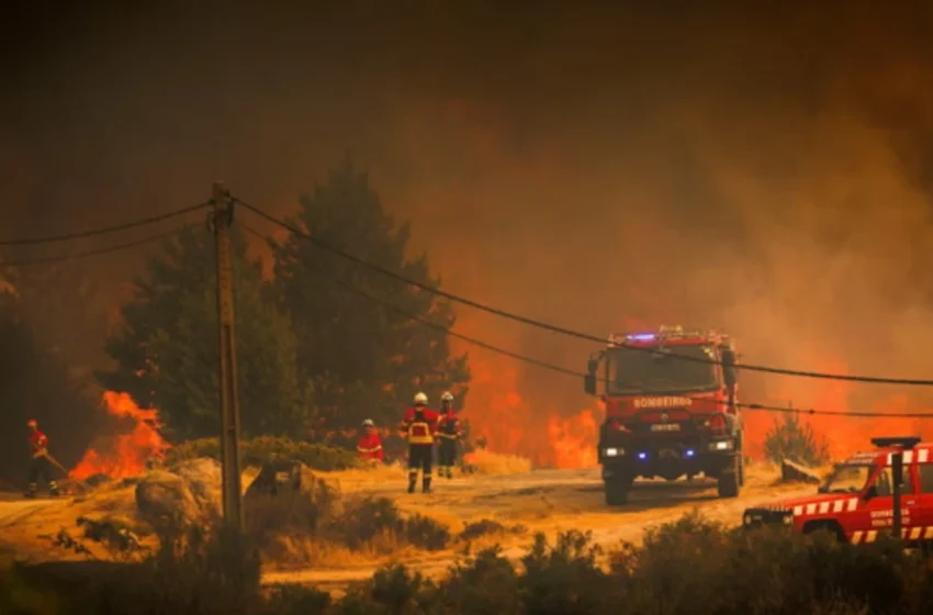  Valë vdekjeprurëse të të nxehtit dhe zjarre shkatërruese në Mesdhe/ Tre të vdekur dhe mijëra të evakuuar