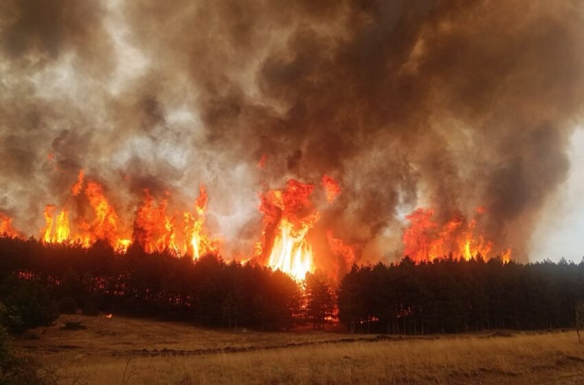  Hapet kufiri i Jazhincës, 2 zjarre aktive