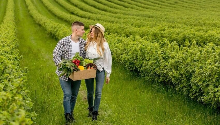  Masa të reja për fermerët e rinj dhe mbështetje për modernizim në bujqësi