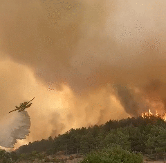  (VIDEO) Air Tractor në luftë me flakët në Jazhincë