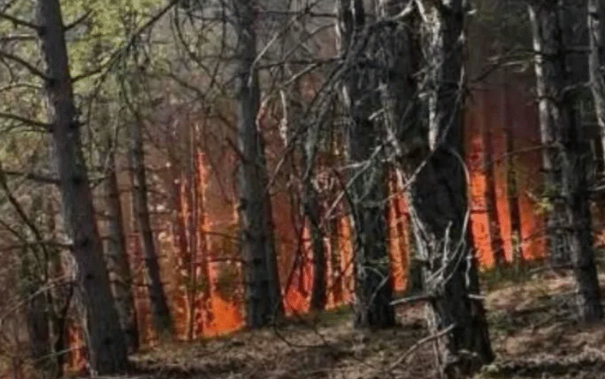 Zjarri në “Jasen”, mbyllet rruga rajonale Makedonski Brod – Shkup