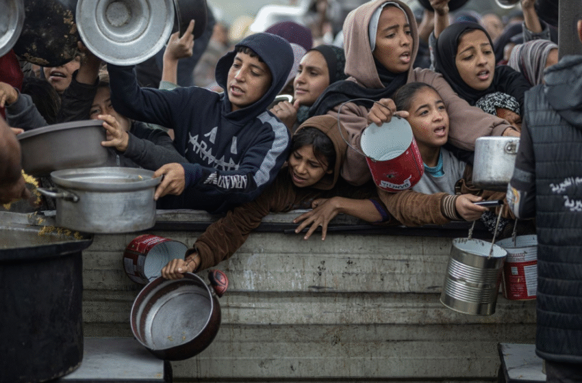  10 palestinezë vdesin nga uria për 24 orë