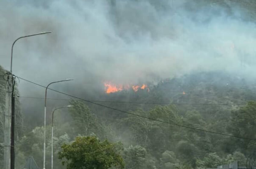  Zjarr mes Krushopekut dhe Llokës