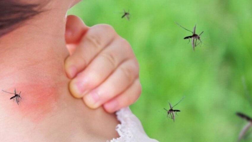  Itali: 10 viktima nga virusi i Nilit