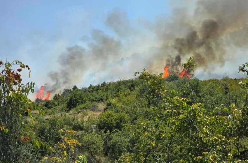  QMK: Dy zjarre janë akoma aktive, një pranë fshatit Vinçe dhe një në Kozhuf.