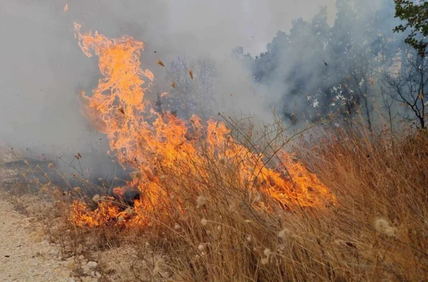  QMK: 29 zjarre në ambiente të hapura