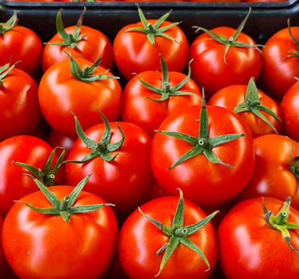  Domatet shqiptare me nivele të larta pesticidesh, Prokuroria lëshon urdhër-arreste