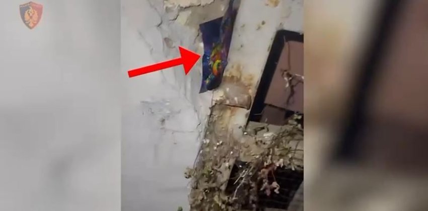  Shpërndanin drogë në formë xhelatine në Tiranë, arrestohen dy të rinj