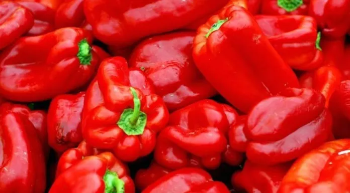  Rrezik në treg: metomil i dëmshëm zbulohet në speca të kuq nga Maqedonia!