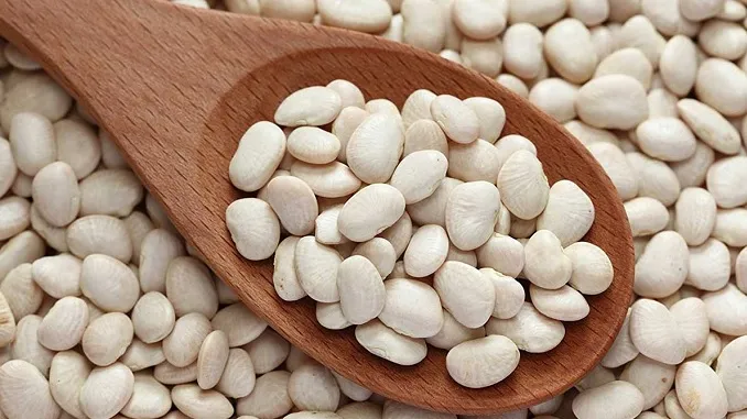  Mungon grosha e Tetovës, zëvendësohet me atë nga Kazakistani