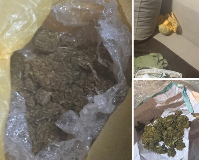  Bastisje në Gostivar, kapet marihuanë, arrestohen dy shtetas turq