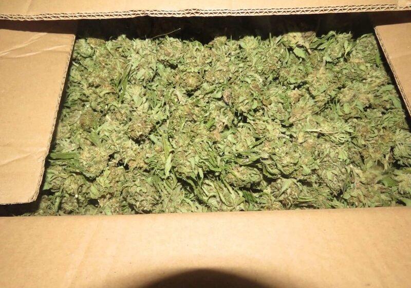  Bastisje në Shkup, u gjet sasi e madhe e substanca narkotike