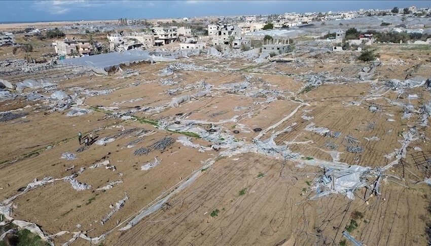  Agjencia e OKB-së: Pothuajse të gjitha tokat bujqësore në Gaza janë shkatërruara