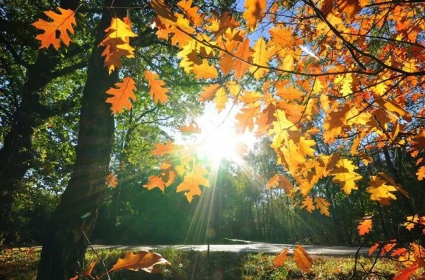  Moti me vranësira dhe diell, temperatura deri në 16 gradë