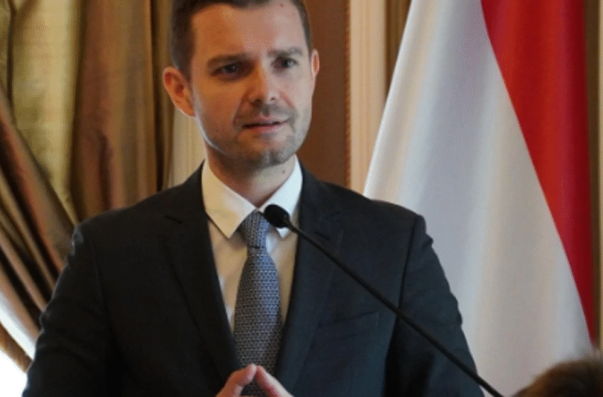  Mucunski prezanton strategjinë për bashkëpunim me diasporën: Shteti po krijon një vizion afatgjatë