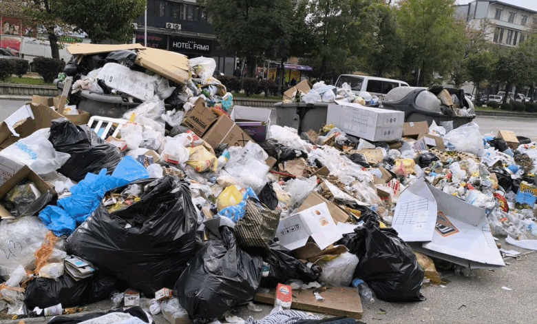nga-ora-22-00-deri-ne-ora-06-00-ne-shkup-do-te-ndalohet-hedhja-e-mbeturinave-ne-kontejnere