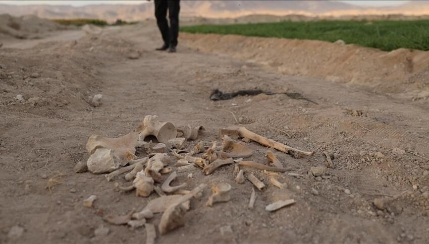  Autoritetet siriane zbulojnë 4 varre masive në veri të Homsit
