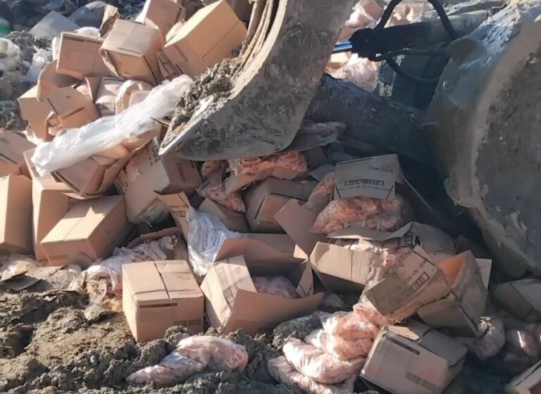  AUV: Janë asgjësuar mbi 20 tonë patate të ngrita me afat të skaduar dhe 2,000 kg mish pule