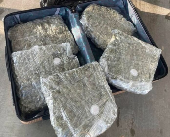  Arrestohet një 31-vjeçar nga Kumanova, në automjet i gjenden mbi pesë kilogramë marihuanë