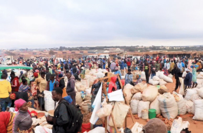  Banka Botërore: Një e katërta e vendeve në zhvillim janë më të varfra se në vitin 2019