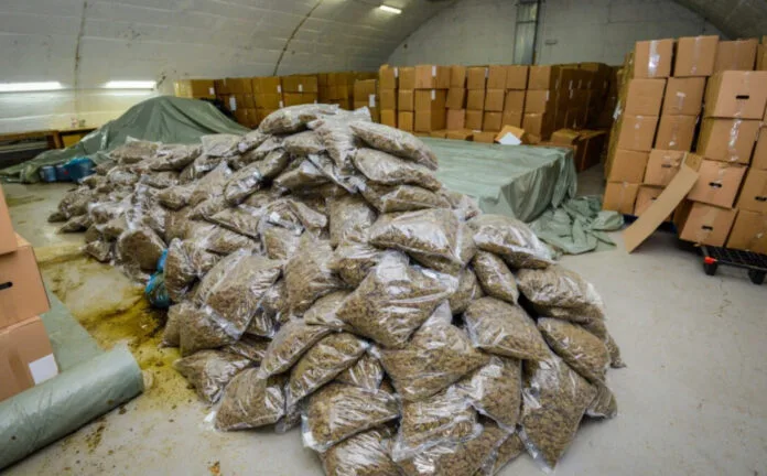 marihuana-e-sekuestruar-ne-serbi-paraburgim-48-oresh-per-dy-persona