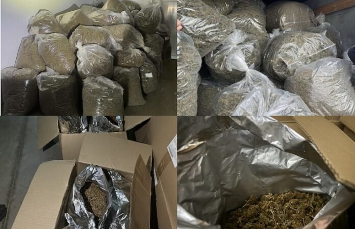  5 ton marihuanë kontrabandohen nga një fabrikë mjekësore e Maqedonisë drejt Serbisë