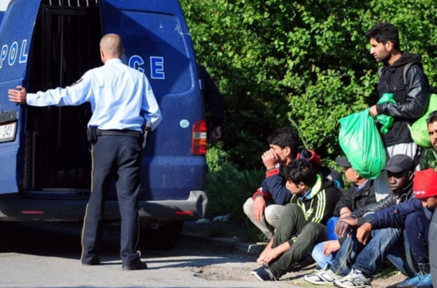  Transportonte gjashtë migrantë në veturën me targa bullgare, u arrestua shtetasi i Maqedonisë së Veriut