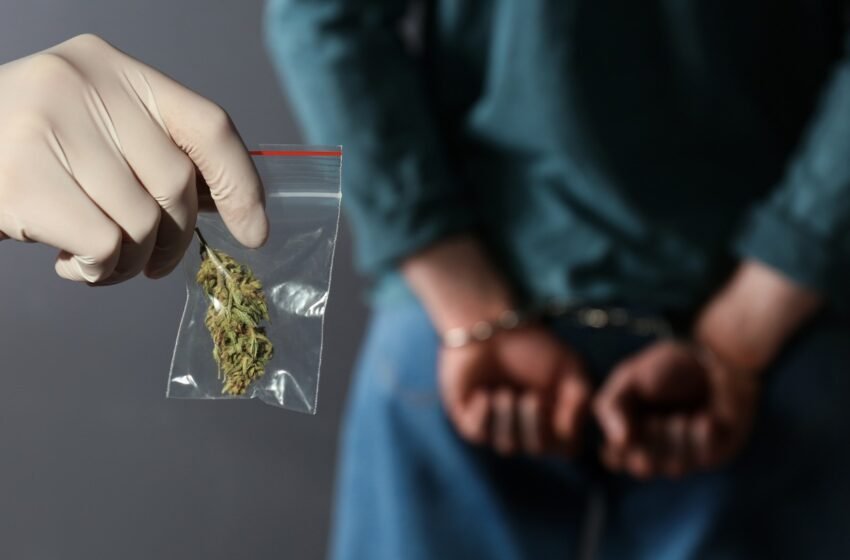  Arrestohen 8 persona tek të cilët u gjetë drogë