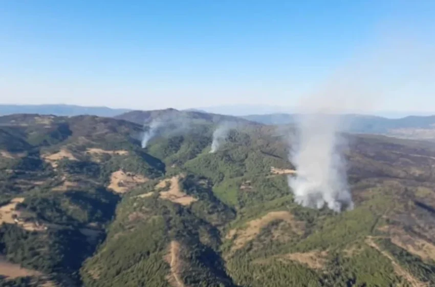 Mbrëmë janë regjistruar 23 zjarre, një është ende aktiv