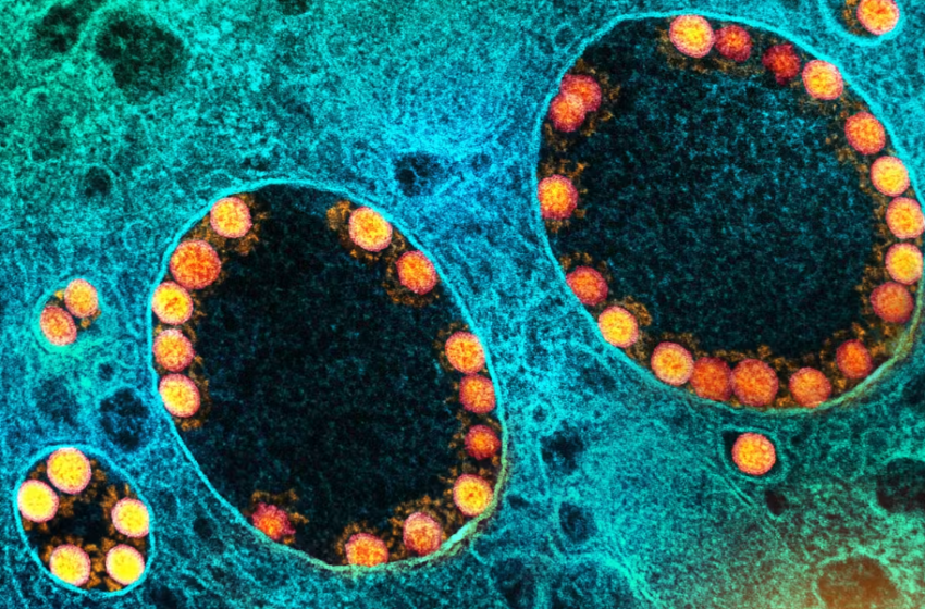 Pas vaksinave kundër COVID-19, teknologjia mRNA hap rrugën për trajtime të reja